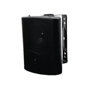 FT-105 Professional Wall Hanging Speaker