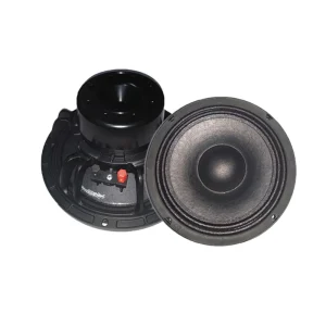 Factory 10 Inch OEM and ODM 300W Professional Speaker System for Stage and Outdoor Use Woofer Speaker