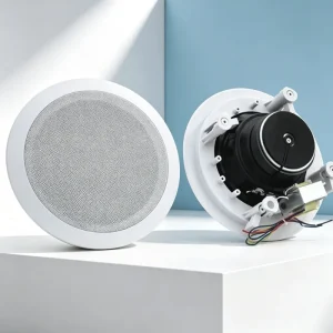 Factory 2-Way Coaxial Metal Ceiling Speaker 100V 70V Constant Voltage Stereo Surround USB PA System Commercial