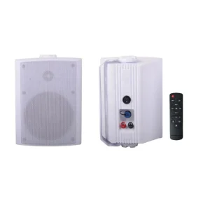 Factory 5.25 Inch 20W+20W High Performance Indoor Outdoor Wireless Wall Mounted Speaker with Wifi BT for Commercial