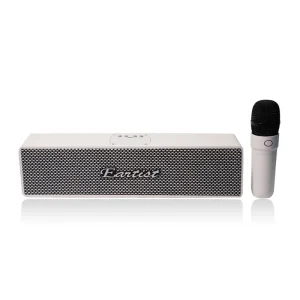 Factory Customizable Independent Microphone Bluetooth Speaker with Built-in Karaoke Function