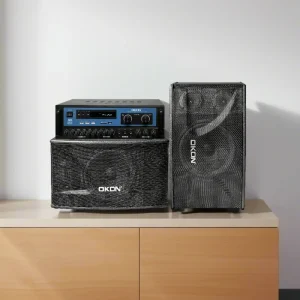 Factory Direct OKON 8 Inch Woofer Speaker & Bluetooth Mixing Amplifier Complete Audio System For KTV Bar Small Stage Performance