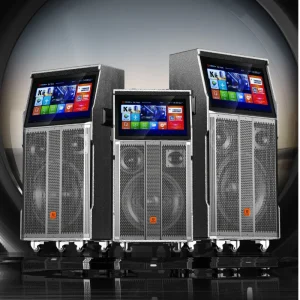 Factory Direct Sale Wheel Sliding 15.4 Inch Screen Wireless Battery Powered PA Speaker with Bluetooth