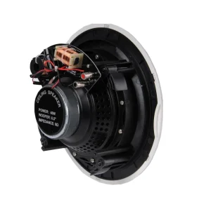 Factory Factory 8 Ohms Coaxial Frameless Ceiling Speaker for Music For Public Address System Music