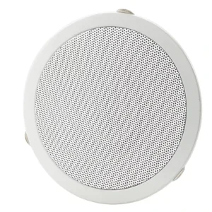 Factory Indoor Commercial Ceiling Mounted Speakers Surround Sound System for Music Speech