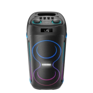 Factory Made Double 6.5 Inch PA System Stereo Rechargeable Party Speaker 100 Watt LED Light Portable Speaker