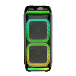 Factory OEM ABS8203 8″*2 Portable Party Speaker Outdoor Speaker with Wireless Microphone Party RGB Lights