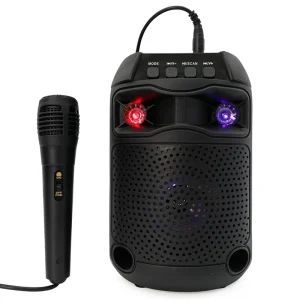 Factory Outdoor Speaker Party Box With Microphones Portable Karaoke Wireless Speaker