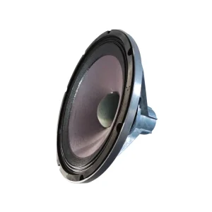 Factory Price 12 Inch 110Db Glass Fiber Subwoofer Speaker Woofer Speaker