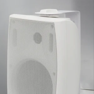 Factory Professional 5.25 Inch Music Speaker Customized Audio Plastic Passive Speaker PA Wall Mounted Speakers