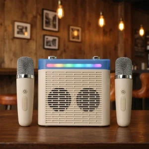 Factory Sale 2000mAh Large Capacity Sound Equipment Speaker with 2 Microphone Portable Home Party Speaker with AUX USB TF Card