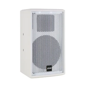 Factory Single 10″ Black or White Professional Speaker DS10 for Functional Hall Conference Room