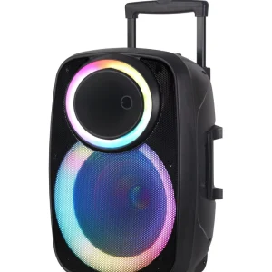 Factory Stock NDR A55 15 Inch Outdoor Speaker with RGB LED Lighting and 40W Bass for Stage Use Battery Powered