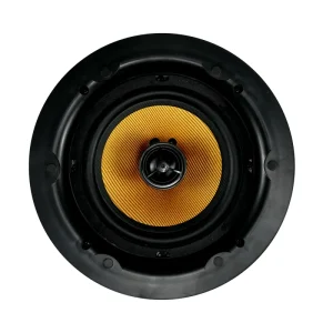 Factory Supplier 6.5 Inch 80Watt Indoor Ceiling Speaker AC DC Power Amplifier Works with Background Music Mounted Ceiling