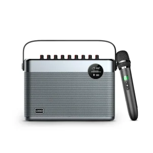 Factory T10 with Double Mic Karaoke Bluetooth Portable Speaker with Support TF Card&USB Flash Drive Home Hi Fi Audio for Party