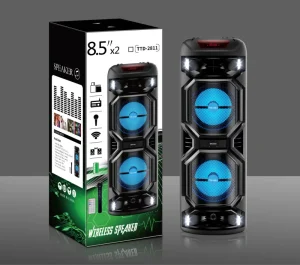Factory TTD-2811 Double 8 Inch Wireless Outdoor Party Remote Control with Wireless Microphone TF USB Card Smart Stereo Speaker