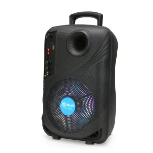 Factory TTD 8251 Mobile Portable Speaker 8 Inch Outdoor Karaoke Party Plastic Subwoofer Car Audio Speaker Box 20W 10W
