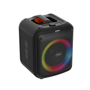Factory Top Selling Private Party Box 6.5″ Rechargeable Portable Wireless Speaker with FM Radio Remote Control Party Lights