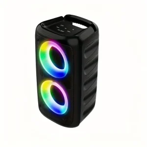 Factory Wireless Bluetooth Speaker 10W High Power Home Karaoke Party Music Wireless Bluetooth Speaker