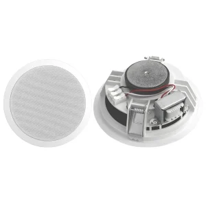 Flush Mount Ceiling Speaker 100V 70V 8 Ohm 2 Way Coaxial Water Resistant for USB for Commercial PA Speaker
