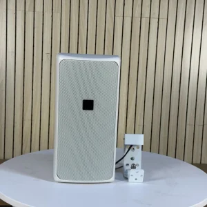 Full Range Design Big Party PA Audio Sound System Custom Logo Outdoor Wall Mounted Speaker Box for School Classroom Hotel