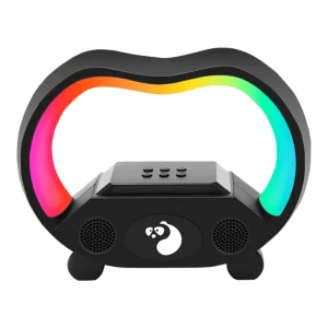 G Shape Party Speaker Karaoke KTV Speaker Set Portable Karaoke Speaker