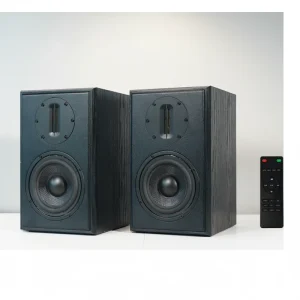 HIFI Active Bookshelf Speaker Wooden Case with Ribbon Tweeter