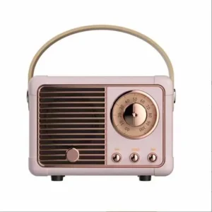 HM11 Mini Portable Audio Integrated Speaker High End Small Home Ktv Karaoke Professional Singings Outdoor Speaker