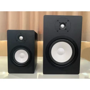 HS5-ii 5 Inch Small Monitor Speaker for Studio Recording