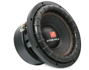 HYANKA BSP 12 2 12 Inch Car Subwoofer Speaker High Quality 1500W Car Audio Subwoofer Speakers 2ohm+2ohm Y35 Magnet CCAW