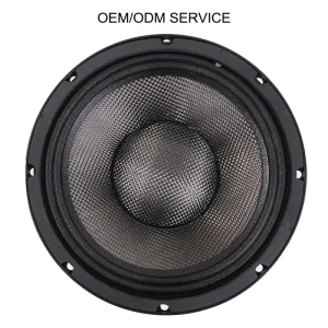 HYANKA HMS92100C OEM ODM 10 Inch Midrange Speakers for Cars Carbon Fiber Car Woofer RMS 300W Midrange Speakers