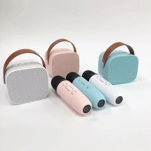 Handheld Portable Family Home Party DJ Adult Kids Wireless Karaoke Speaker