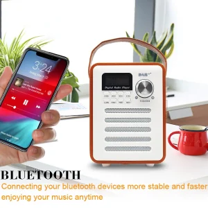 Handle Bluetooth Wireless Speaker FM DAB+ Digital Radio Receiver With USB TF MP3 Player