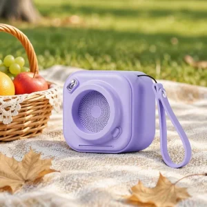 Hi-Fi Loud Volume Portable 5W Retro Speaker APP Remote Control Built-in Microphone Battery Powered for Outdoor