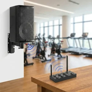 Hi-Fi Wooden Speaker 12 Inch Wall Mount Audio System for V5.2 Display Screen 80-260W Output Power for Gym Fitness Center