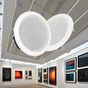 HiFi WiFi Smart Ceiling Speaker System 5W Active Home Theater Mini Wireless Audio Performance Outdoor Use PA Material