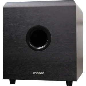 High End Wooden Subwoofers Black Colour Super Bass Cool Party 10 Inch Subwoofer Speaker DJ Subwoofers