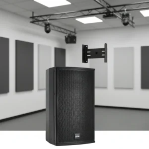 High Fidelity 10 Inch Professional TF10 Wooden Passive Speakers 8 Ohm Impedance Metal Shell Excellent Sound Quality