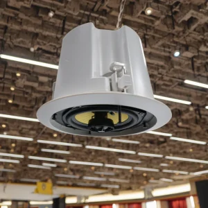 High Fidelity 30 50W POE Ceiling Speaker New Model IP PA System SIP WIFI ONVIF Protocol for Party Computer Supports RJ45 AUX