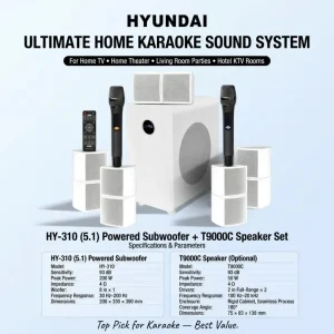 High Fidelity All-in-One Bluetooth Home Karaoke Amplifier Speaker Set With Dual Wireless Microphones For Living Room Home Cinema