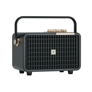 High Power 100W L400 Portable PA Speaker With Instrument Input Karaoke