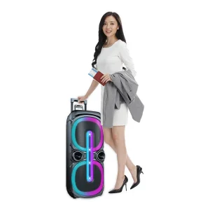 High Power 10Inch 40W Wireless LED Light Party DJ Stage Mic Multimedia Karaoke Subwoofer Woofer Trolley Speaker