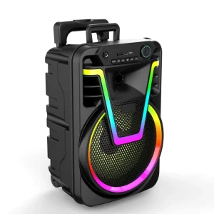 High Power 12 Inch Full Range Wireless USB RGB LED Portable Trolley Speaker for Outdoor Party