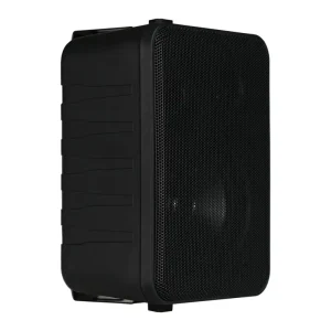 High Quality 20W Mini 4-inch Wall Mount Speaker 4″ Woofer & 1″ Tweeter with 70-110V for Home Theater Meetings Parties