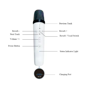 High Quality Double Speaker Bluetooth Wireless Microphone Portable Karaoke Speaker with KTV Function for Track Speaker Systems