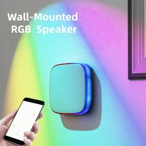 High Quality Dual 3 inch Speakers 30W DC for Indoor Public Address Systems Background Music for Home Shopping Malls