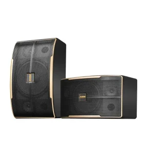 High Quality High-power Conference Home Theater Karaoke Room Sound System Home Use Bar Sound System