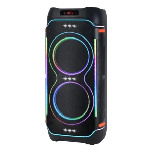 High Quality Party Speaker with U Segment Wireless Microphones