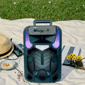 High Quality Plastic Wireless Portable for 5.3 Speaker with RGB LED Lighting 10 30W Output for Home Theatre and Parties