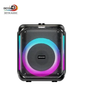 High Quality Portable Outdoor Karaoke Speaker 8 Inch 40w